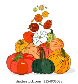 Vegetables, Fresh food. Big set  Pumpkin, line drawn.  Hand drawing vector illustration. Perfect for greeting cards, party invitations, wrapper , posters. for design  Halloween and Thanksgiving Day