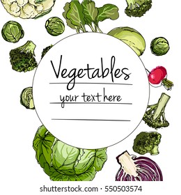 Vegetables. Fresh food. Cabbage, Blockley, kohlrabi, cauliflower, Brussels sprouts line drawn on a white background. Vector illustration.