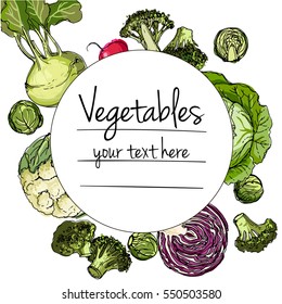 Vegetables. Fresh food. Cabbage, Blockley, kohlrabi, cauliflower, Brussels sprouts line drawn on a white background. Vector illustration.