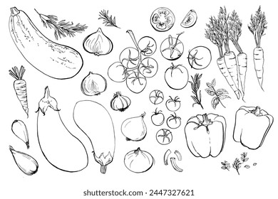 Vegetables. Fresh food. Tomato line drawn on a white background. Vector illustration. Coloring for adults	
