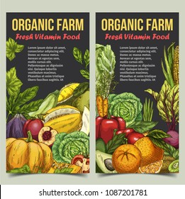 Vegetables and fresh fruits at market banner. Beetroot and corn, radish and napa or chinese cabbage, tomato and avocado, carrot and pumpkin. Agriculture and harvest, organic shop theme