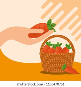 vegetables fresh natural