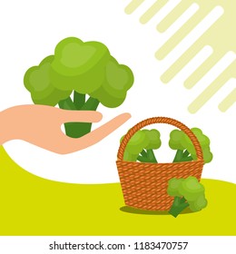 vegetables fresh natural