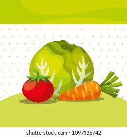 vegetables fresh organic healthy lettuce carrot tomato