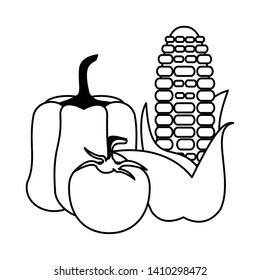 Vegetables fresh peppper tomato and corn food cartoon vector illustration graphic design