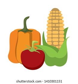 Vegetables fresh peppper tomato and corn food cartoon vector illustration graphic design