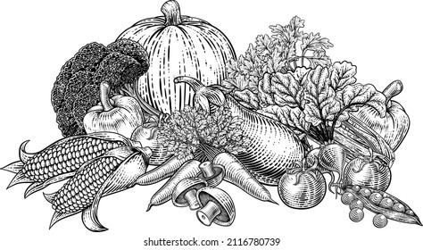 Vegetables and fruit food produce illustration in a vintage retro woodcut etching style.