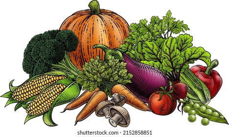 Vegetables and fruit food produce illustration in a vintage retro woodcut etching style.