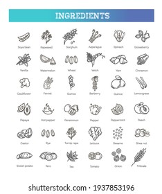 Vegetables and fruit thin line icon set. Vector ingredients