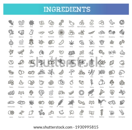 Vegetables and fruit thin line icon set. Vector ingredients