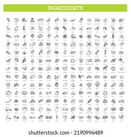 Vegetables and fruit vector flat collection