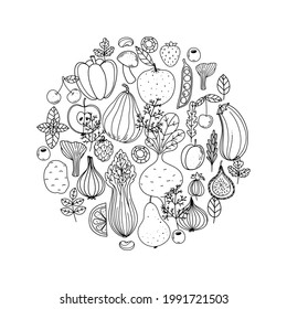野菜と果物のコレクション 北欧風のイラスト ベギー料理 手描きのベクターイラスト ミニマルなデザイン 北欧風のイラスト 健康な有機食品 のベクター画像素材 ロイヤリティフリー Shutterstock