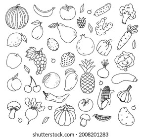 Vegetables and Fruits doodle collection. Set of fresh, healthy, vegan food. Hand drawn illustration. 