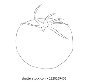 vegetables and fruits drawing lines, vector, white background - Shutterstock ID 1220169403