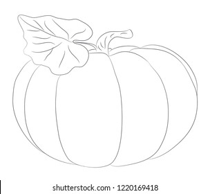 vegetables and fruits drawing lines, vector, white background