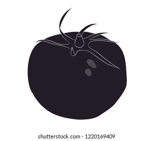 vegetables and fruits drawing silhouette, vector, white background