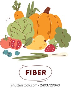 Vegetables And Fruits Fiber Food Vector Illustration