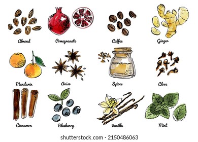 Vegetables fruits food icons set. Vector sketch in ink and watercolor. Spices and herbs, nuts. Almond, cafe, mint, vanilla