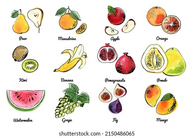 Los íconos de comida de frutas de verduras se ponen. Esbozo vectorial en tinta y acuarela. Manzanas, peras, uvas, melocotón