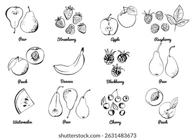 Vegetables fruits food icons set. Vector sketch in ink and watercolor. Apples, pears, grapes, peach