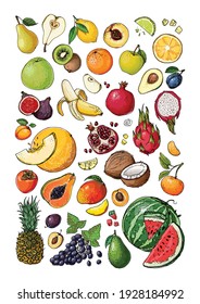 Vegetables and fruits food vector poster. Color sketch of products. Decor for kitchen and restaurant. Farm fruits and berries. Watermelon, banana, pineapple, apple, pear