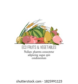 Vegetables and fruits hand drawn in vector. Easy to use for Organic product labels. Market signboard.
