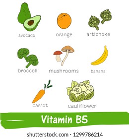 Vegetables and fruits with a high content of Vitamin B5. Hand drawn vitamin set.