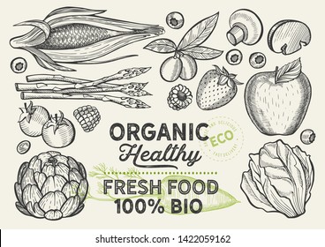 Vegetables and fruits illustration for farm market on background. Vector hand drawn organic and vegetarian food. Design poster with lettering and doodle vintage graphic.