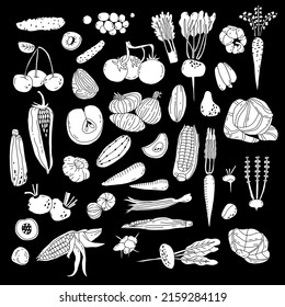 Vegetables and fruits outline icons. Organic food elements for web design, vegetarian menu, healthy lifestyle illustration. Vector elements in linear style isolated on a black background.