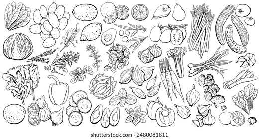 Vegetables and Fruits Outline Set. Vector Illustration in black lines on white. Broccoli, onion, leek, tomato, garlic, carrots, pears, bell peppers, potatoes, asparagus, celery apple for farm