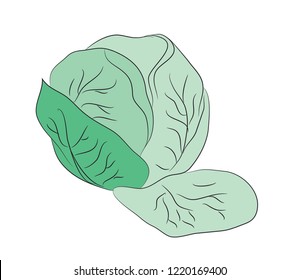 vegetables and fruits pattern color, vector, white background