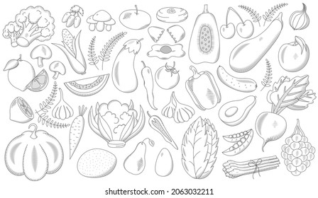 Vegetables and fruits set in doodle style. Healthy food ingredients hand drawn, isolated on white background