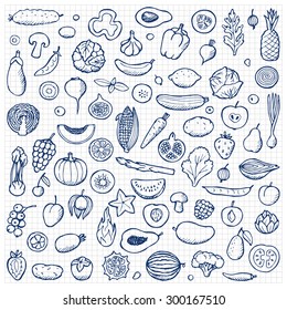 Vegetables and fruits Set hand drawn doodle elements on squared paper. Vector illustration for backgrounds, web design, design elements, textile prints, covers, posters, menu