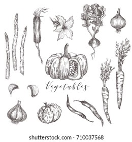 Vegetables and fruits vector set