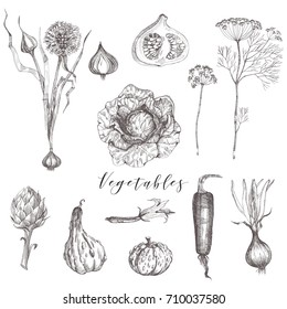 Vegetables and fruits vector set