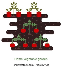 Vegetables garden background with tomato and bell pepper plants