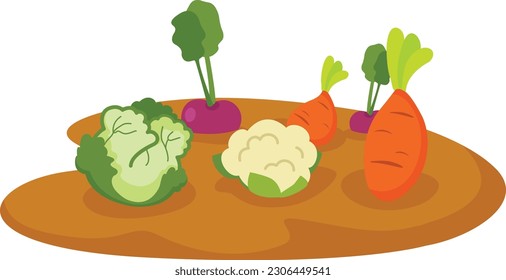 vegetables in garden on white background