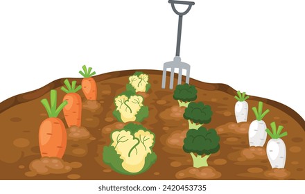 vegetables in garden on white background