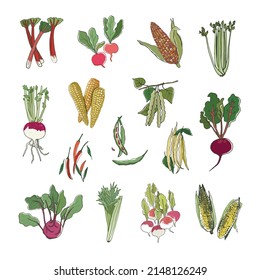 Vektor-Vektorgrafik-Set für Gemüse-Gartenarbeit