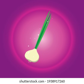 vegetables, garlic or chives. vector image pink background in degrade