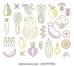 Verduras geométricas de línea colorida colección. Calabaza, Tomate, Zanahoria, Cebolla, Remolacha, Pimienta, Aceitunas, Arúgula, Brócoli, Guisantes, Apio, Sparrowgrass. Alimentos orgánicos. Ilustración vectorial plana de la granja