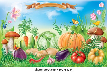 Vegetables in the grass on a background of blue sky. Vector illustration