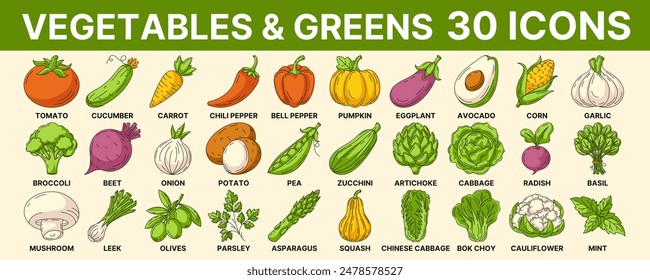 Vegetables and greens, vector colorful icon set. Vegetable line signs. Outline icons collection of veggies. Concept of farming, vegetarian and vegan food, proper nutrition, harvesting, eco produce