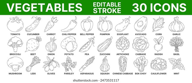 Vegetables and greens, vector minimal line icon set. Editable stroke. Vegetable icon set. Outline icons collection of veggies. Concept of farming, vegetarian food, proper nutrition, harvesting