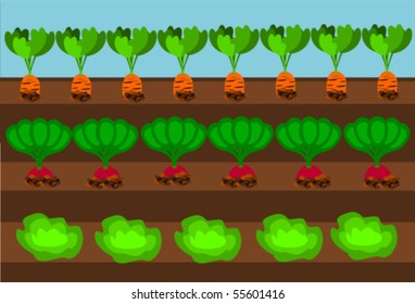 Vegetables growing on path under blue sky