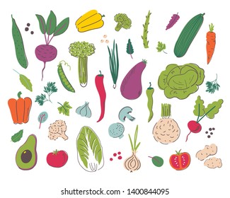 Vegetables hand draw illustration set. Organic and diet food. Healthy nutrition cartoon isolated elements