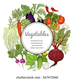 Vegetables Hand drawing with space for text. Vector illustration art set. Beetroot, carrots, tomatoes, cucumbers, radishes, lettuce, garlic, eggplant, artichoke on white background. Vintage plants.