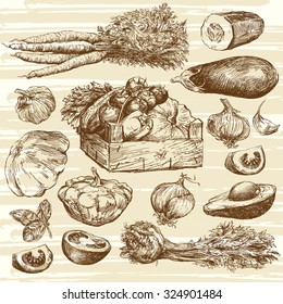 vegetables - hand drawn collection