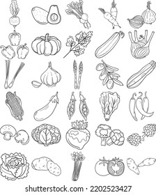 Vegetables Hand Drawn Doodle Line Art Outline Set Containing Avocado, Artichoke, Asparagus, Corn, Mushroom, Broccoli, Cauliflower, Cucumber, Bell pepper, Chilli, Tomato, Carrot, Pumpkin, Cabbage