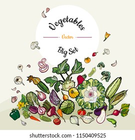 Vegetables hand drawn harvest festival poster. Vegetarian illustration for harvest festival. Hand drawn vector of isolated vegetables for poster, banner, sticker, menu, restaurant menu, farm shop.